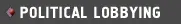 Political Lobbying Information